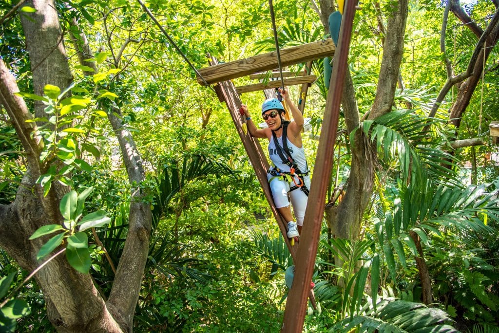 TTTMiami Treetop Trekking Miami