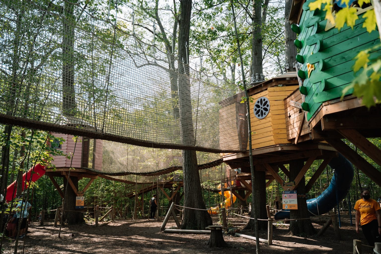 Treetop Trekking Hamilton - The Trekking Group